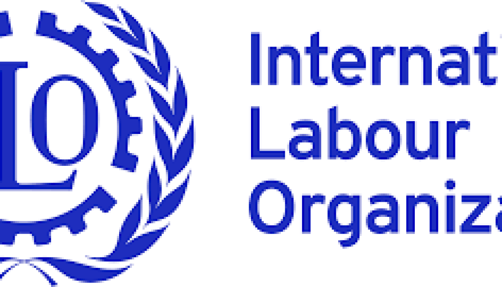 National Project Coordinator Vacancy-Job Ref: ACJOILO/2010/202639